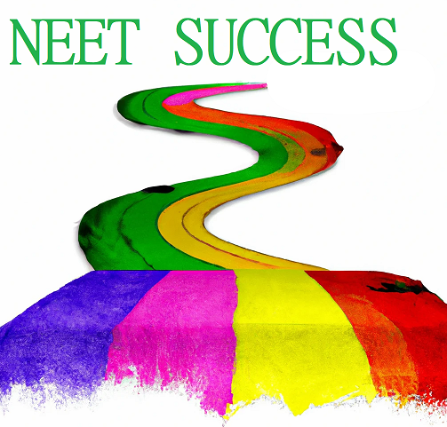 NEET success story
