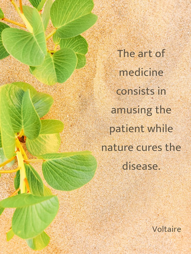 NEET motivational quotes - The art of medicine consists in amusing the patient while nature cures the disease.