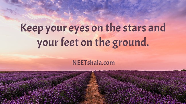 Keep your eyes on the stars and your feet on the ground.